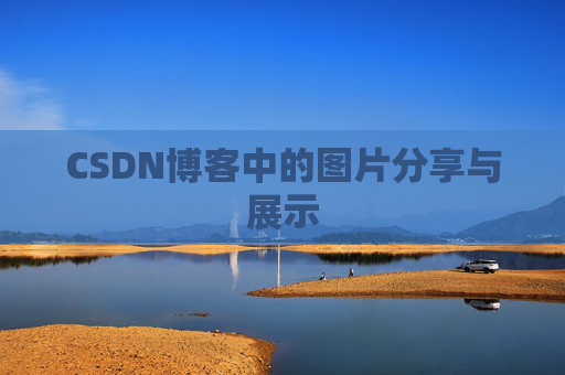 CSDN博客中的图片分享与展示